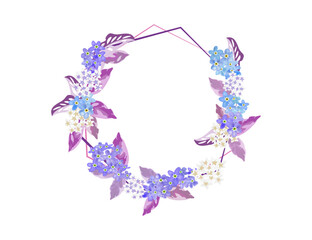 scorpion grasses flower blossom flow on frame background