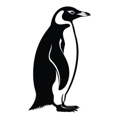 Obraz premium Penguin Minimalist and Simple Silhouette Vector
