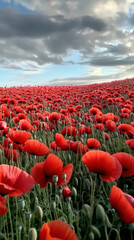 Endless poppy field in gentle motion under a cloudy sky, vibrant red blossoms glowing
