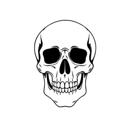 Obraz premium Human Skull: A Monochrome Line Art Illustration of a Detailed Human Skull, showcasing its anatomical features in a stark, graphic style.