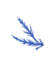 Watercolour hand drawn tropical leaves, brush line technique, blue leaves hand drawn.Ude as print, poster, element design, textile, fabric, sticker, tattoo, invitation, greeting card, package design.