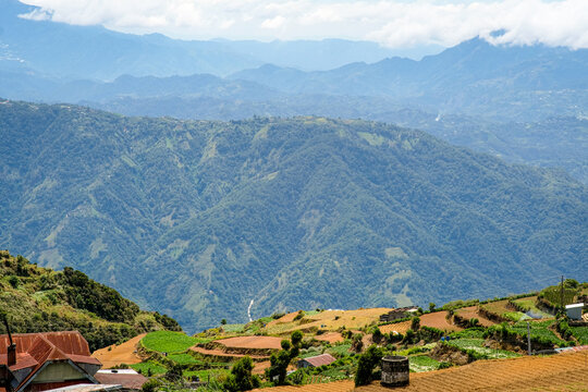 Terraced fields in Mt. Solis Atok Benguet, Philippines.