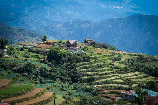 Terraced fields in Mt. Solis Atok Benguet, Philippines.