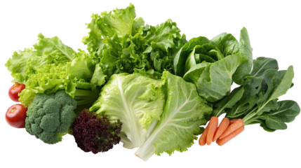 A vibrant assortment of fresh produce featuring lettuce broccoli tomatoes and carrots on a dark background