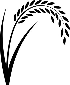 Rice plant vector silhouette design