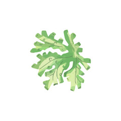 beautiful coral reef watercolor with many types and patterns. watercolor seaweed and corals isolated on white