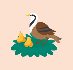 Cartoon quail bird with flat style vector illustration with background on green nest.