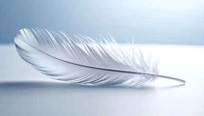 Obraz premium Single White Feather on Clean Background Minimalist Photography
