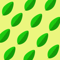 green leaves pattern