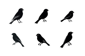 Obraz premium Six black bird silhouettes in different poses