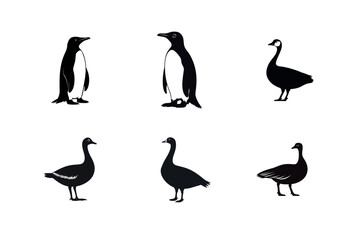 Obraz premium Penguin and goose silhouettes bird collection
