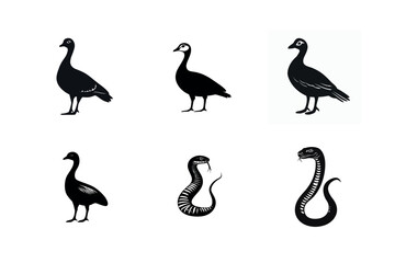 Obraz premium Goose and snake silhouettes black and white illustrations