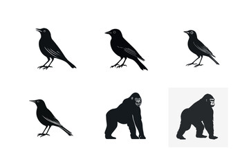 Black silhouettes of birds and gorillas