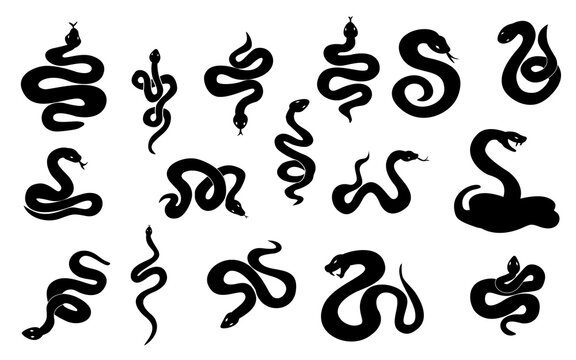 silhouette snake element hand drawn design