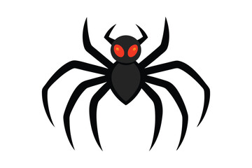  Spider Halloween on White Background
