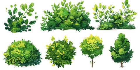 Fototapeta premium green bushes and shrubs, on a white background.