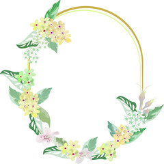 scorpion grasses flower and foliage flows on frame background