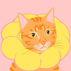 Cute Orange Cat with Puffy Yellow Collar on Pink Background