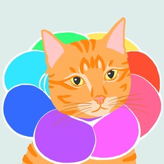 Cute Cartoon Orange Cat with Rainbow Puffy Collar for Pride Month