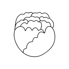 Outline vegetables isolated on white background. broccoli, carrot, tomato,cabbage. icon or sign vegetables. coloring book for kids