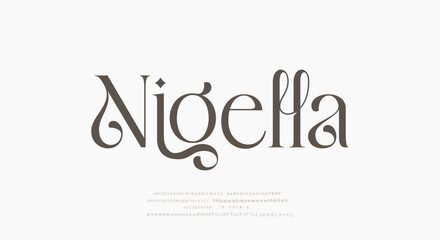 Modern and Elegant wedding alphabet letters font and number. Typography Luxury classic lettering serif fonts decorative vintage retro logo concept. vector illustration