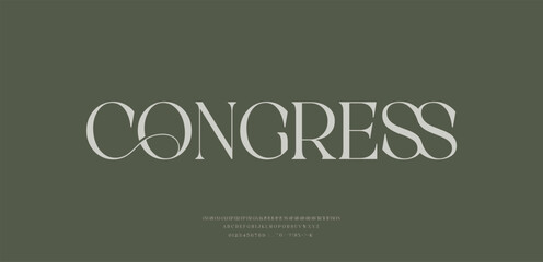 Modern and Elegant Font. Beauty & Luxury font alphabet logo. Typography beautiful fashion elegant classic letters serif fonts decorative wedding vintage retro logos. vector illustration
