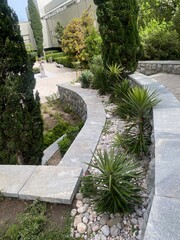 Park decorations with palm plants on stone road outdoors