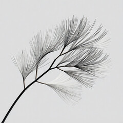 Obraz premium Delicate branches of a plant showcasing intricate details in black and white against a light background