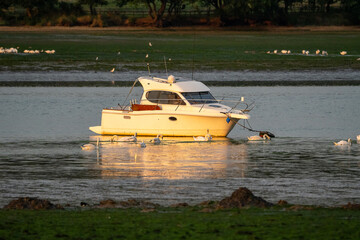Boats on the River Orwell in Suffolk, UK