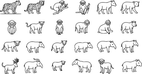 Rainforest mammals linear icons set – outline, jungle and wildlife symbols
