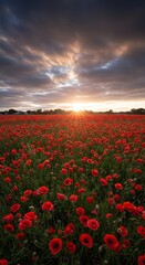 Obraz premium Field Of Red Poppy Flowers Under Dramatic Sunset Sky Landscape