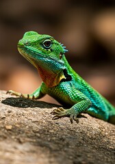 Fototapeta premium Green iguana reptile on a tropical tree branch, a wild nature close-up