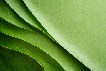 Obraz premium Background green paper texture