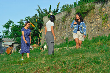 The three girls walk playfully through the grass, joking and laughing as animals graze nearby.