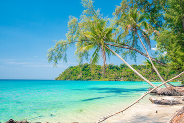 Beautiful tropical beach at exotic island with palm trees