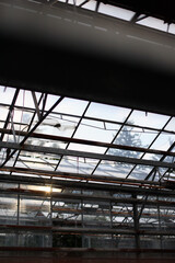 metal frame and glass roof in industrial building, abandoned greenhouse