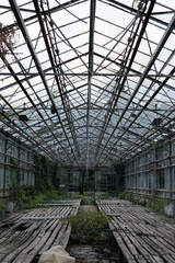old abandoned building, greenhouse made of metal frame and glass