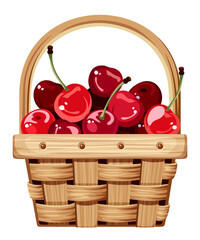 Woven basket with red cherries isolated on a white background. Vector illustration