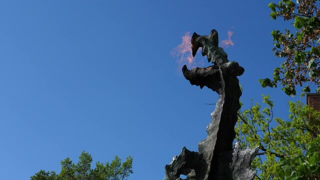 Close-up of the Wawel Dragon statue breathing fire in Krakow, Poland. Iconic metal sculpture exhaling flames in slow motion during the day. Tourist attraction and famous urban landmark captured in FHD