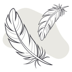 Vintage vector illustration of a feather set, perfect for art, design, or decorative nature-inspired patterns