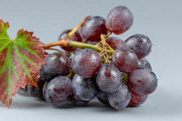 a bunch of grapes with a leaf on a table