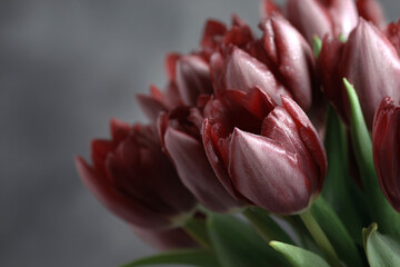 Fototapeta premium a bunch of red tulips are in a vase