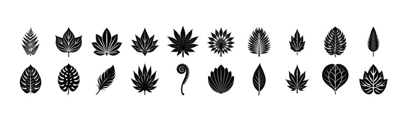 Set of Black Leaf Silhouettes  Botanical Vector Icons Collection in Minimal Style