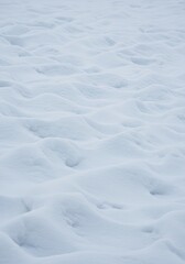 Obraz premium White Snow Texture Background Winter Cold Season Nature Abstract