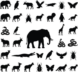 Obraz premium Black silhouettes of wild animals and insects isolated on white background for design elements