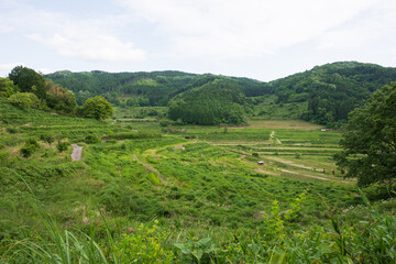 日本の岡山県美咲町の大垪和西の棚田の美しい風景