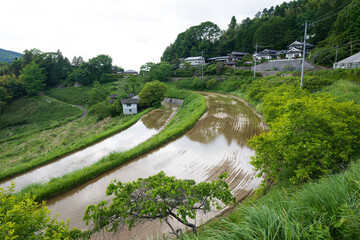 日本の岡山県美咲町の大垪和西の棚田の美しい風景