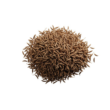 Pile of cumin seeds floating in mid air on a solid white background