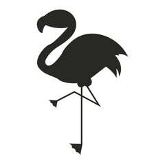 Animal Silhouette Illustration