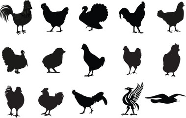 Silhouettes of Various Chicken Breeds and Other Birds